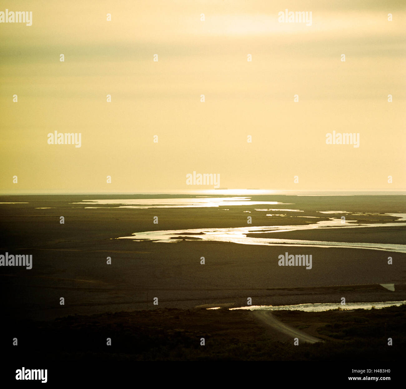 Piatto paesaggio naturale presso il lago di slave, ampio orizzonte, luce della sera, Yukon Territory, Canada, Foto Stock