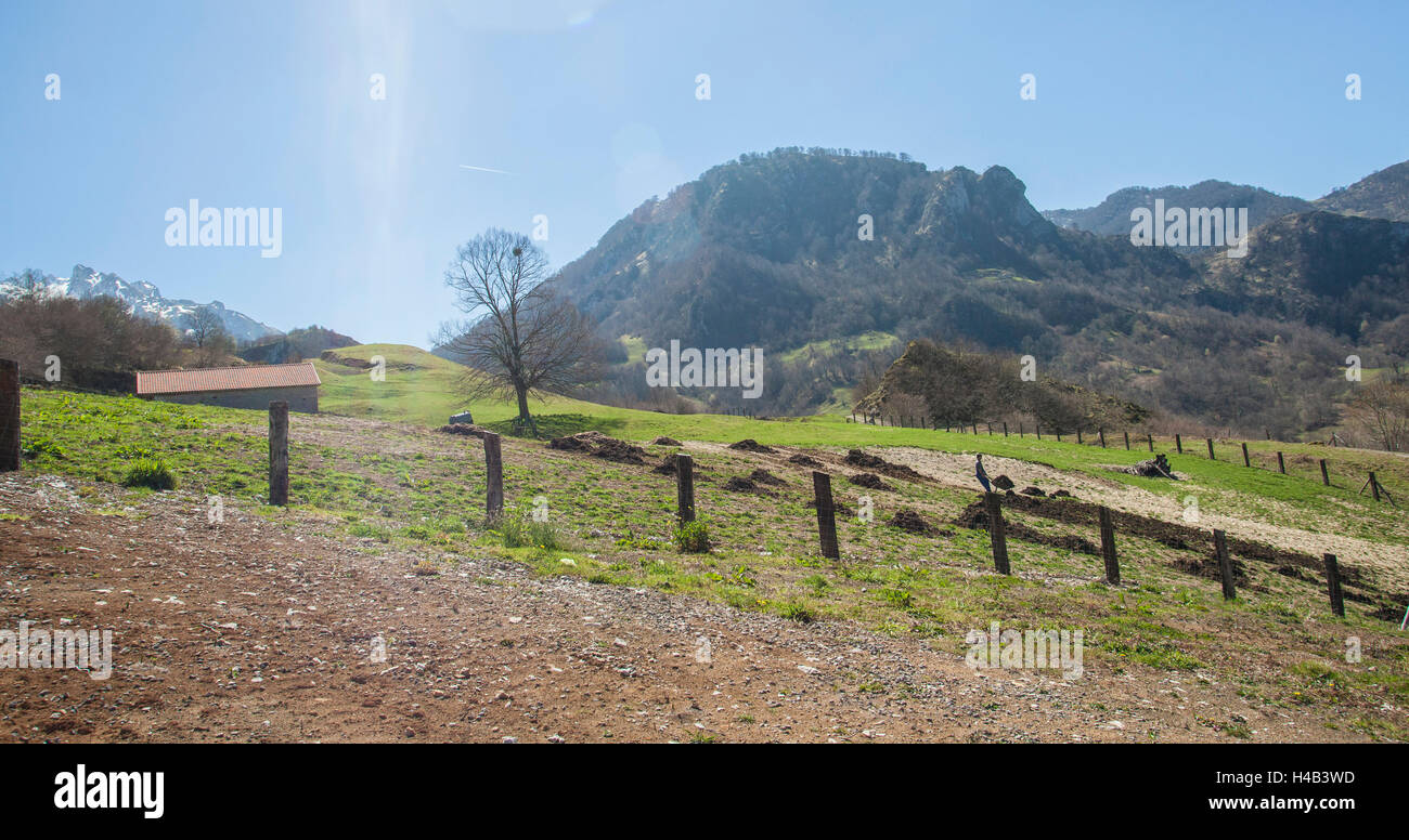 Paesaggio alpino con capanna, recinzione, Asturias, Picos de Europa, Spagna, Foto Stock