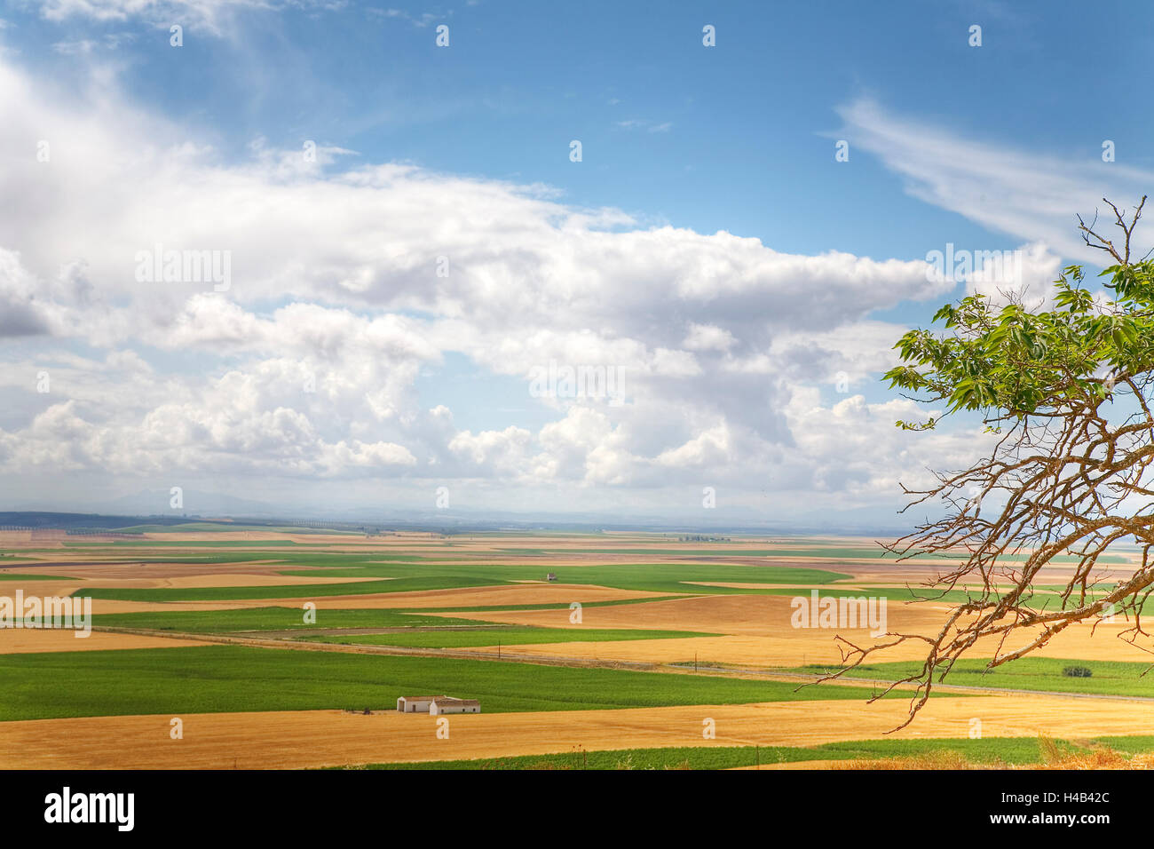 Paesaggio nella provincia di Siviglia, in Andalusia, Spagna Foto Stock