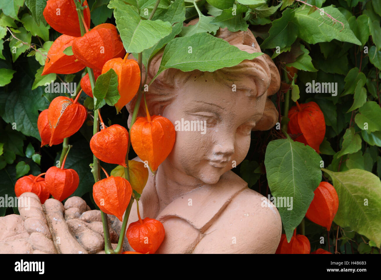 Giardino figura, lampion fiore, Foto Stock