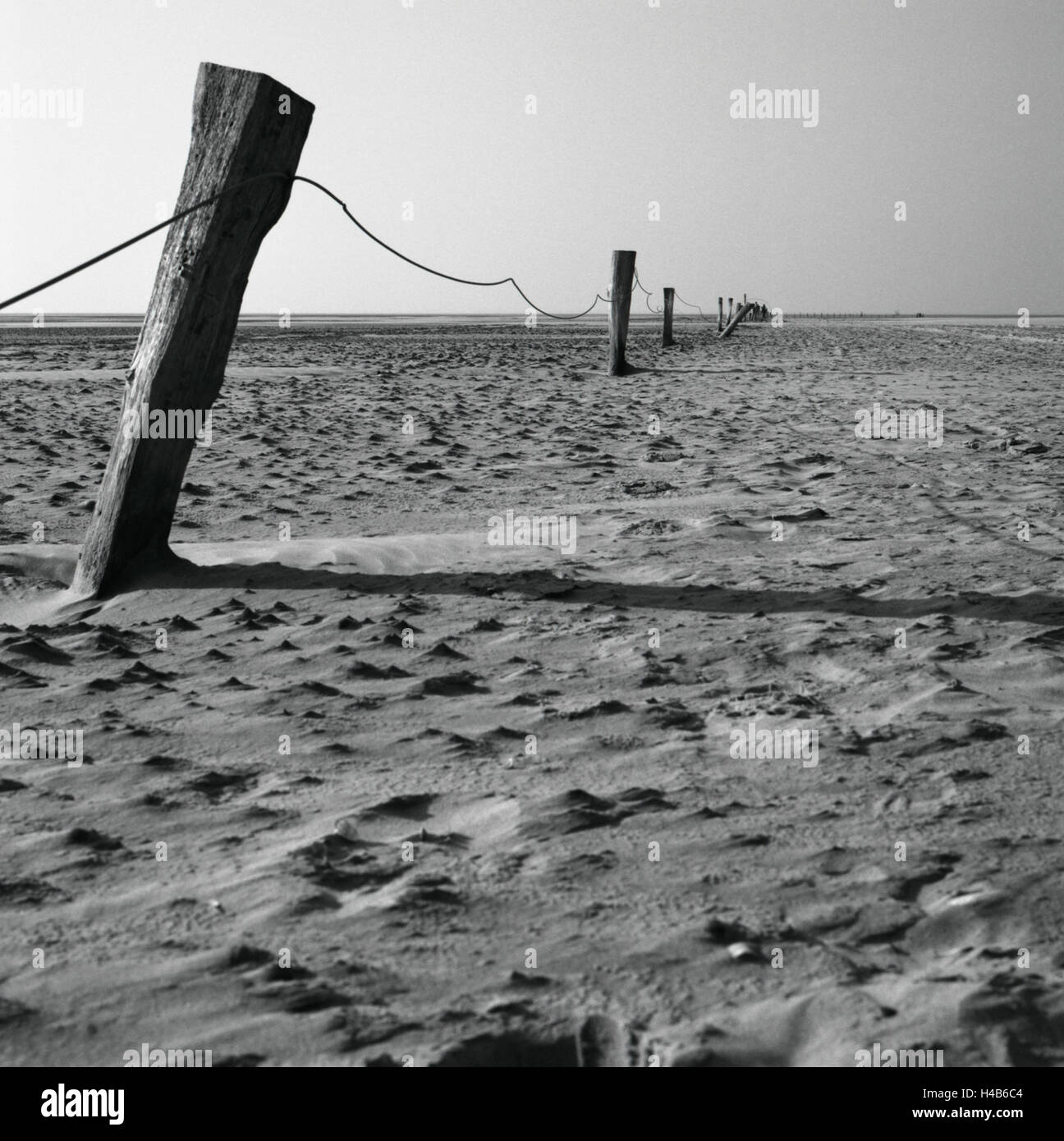 Germania, Bassa Sassonia, isola Borkum, recinzione, sabbia, costa, b/w, Foto Stock