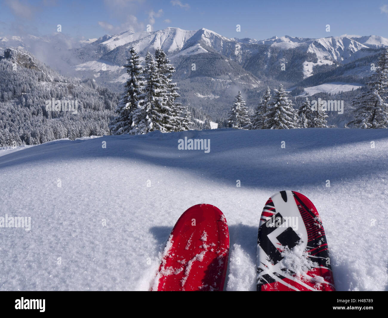 Austria Vorarlberg, Ebnit, la zona di colmo, sciatore, dettaglio, sci, Paesaggio invernale, Foto Stock