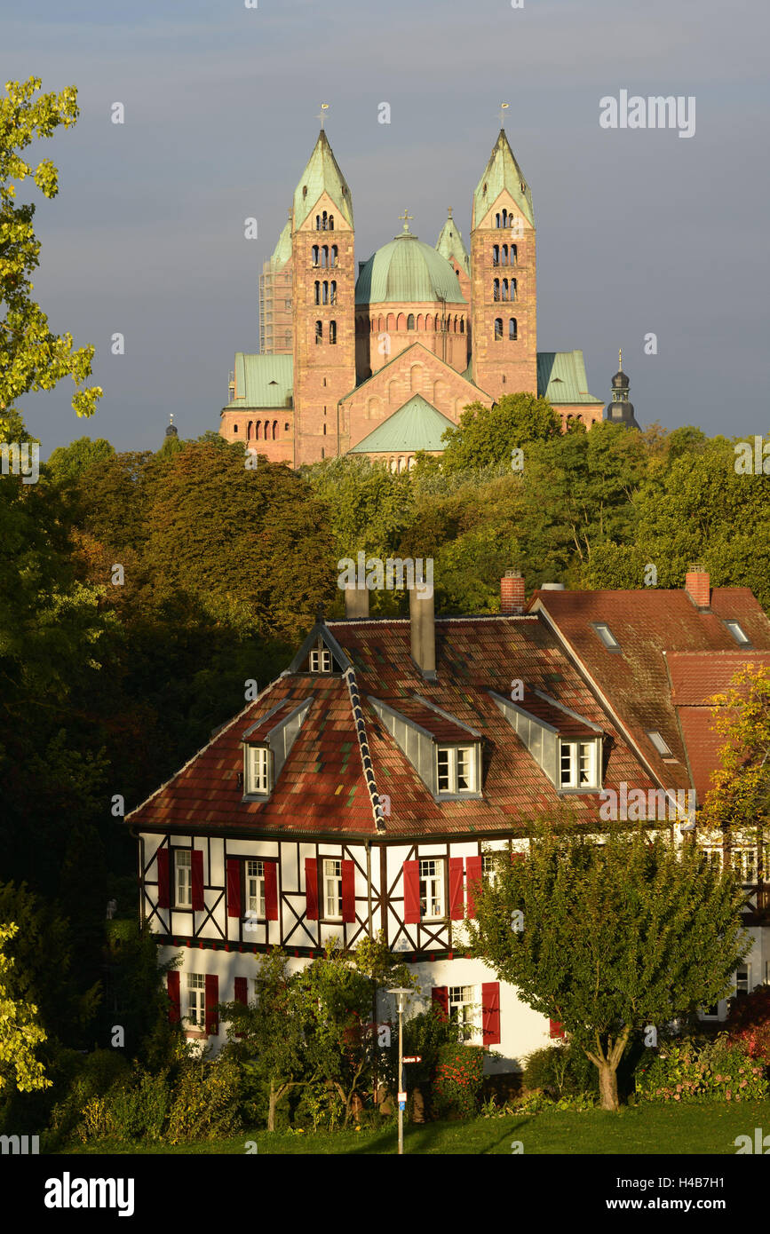 Speyer, Cattedrale imperiale, UNESCO-patrimonio culturale mondiale, sunrise, Renania-Palatinato, Germania Foto Stock