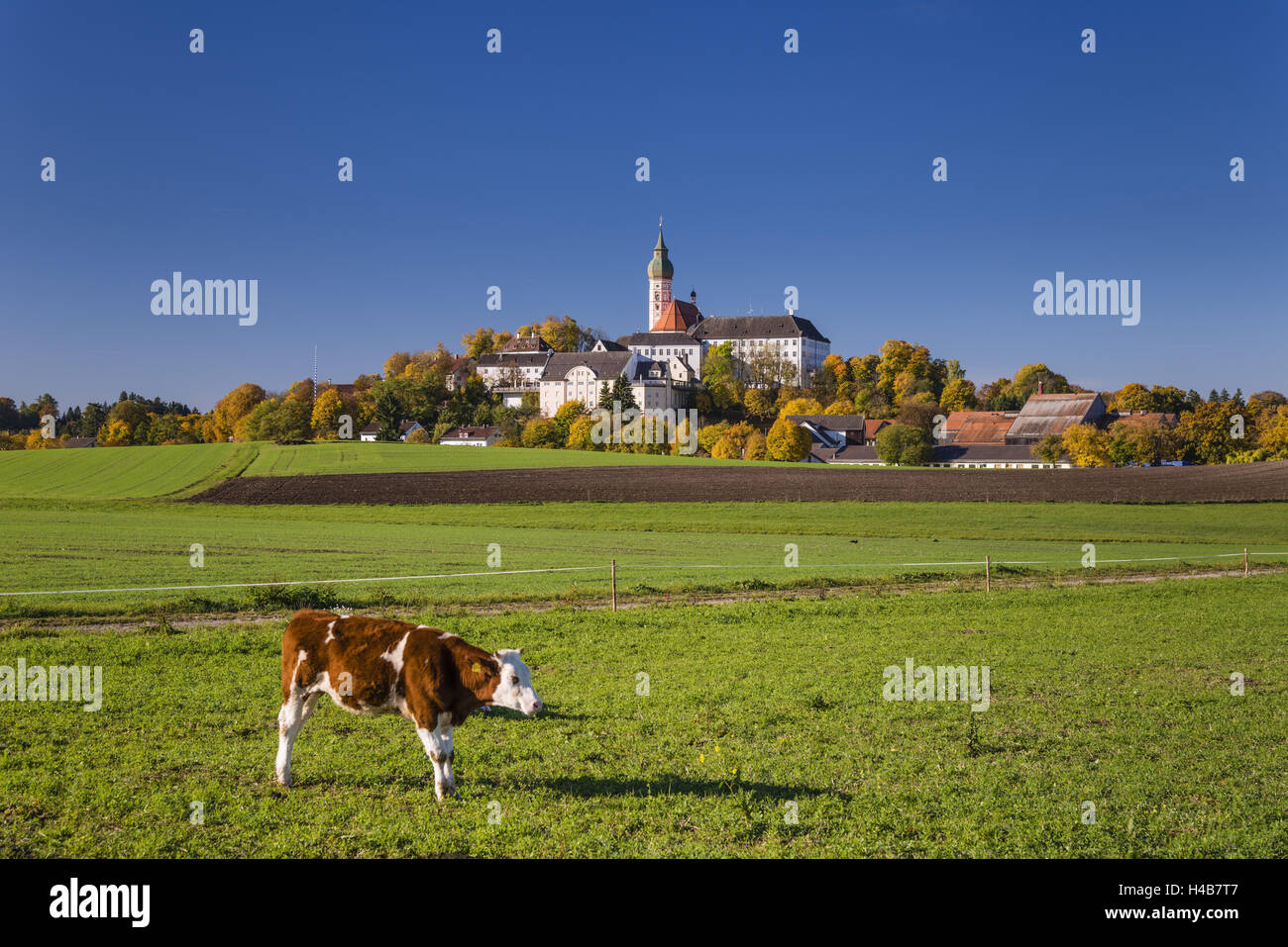 In Germania, in Baviera, Baviera superiore, 5-paese di mare, Andechs, pascolo con chiostro di Andechs, Foto Stock