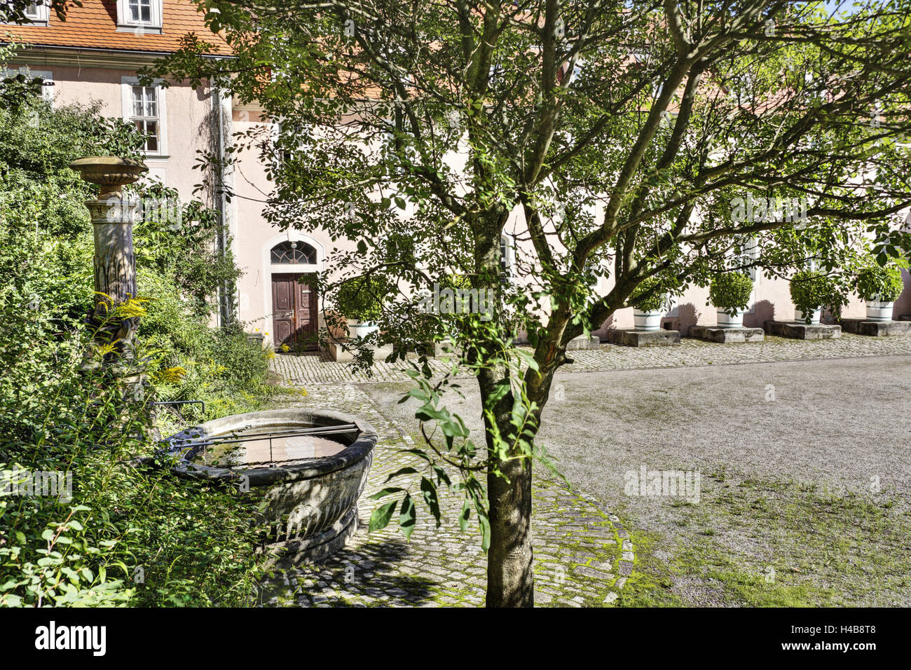 In Germania, in Turingia, Weimar, Charlotte von Stein's house, ben, albero, Foto Stock