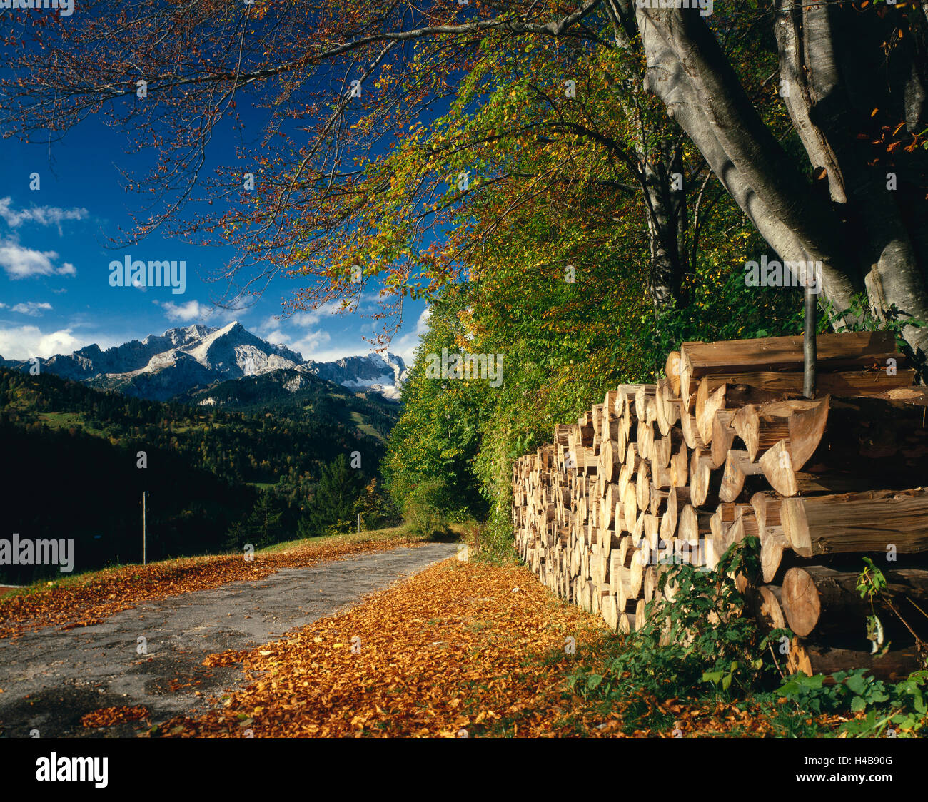 In Germania, in Baviera, Werdenfels, paesaggio autunnale, la pila di legno, Foto Stock