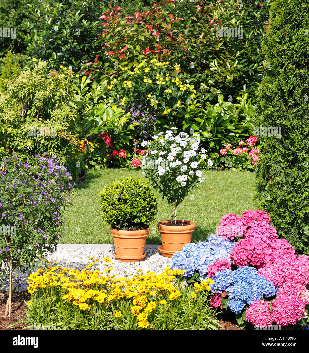 Giardino, una lussureggiante vegetazione, fiori piante Foto Stock