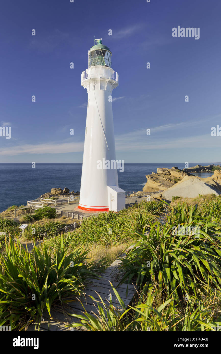 Castle Point lighthouse, Wellington, Isola del nord, Nuova Zelanda Foto Stock
