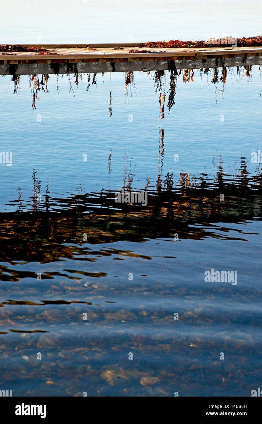 Acqua, costa, jetty, il Mar Baltico Foto Stock