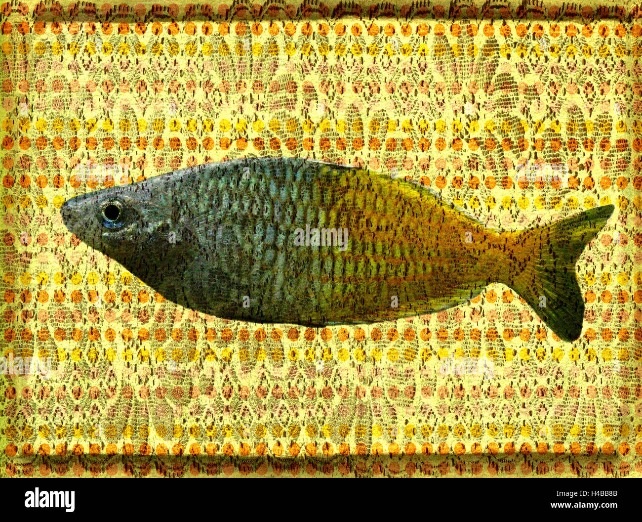 Photo Collage, pesce contro uno sfondo floreale Foto Stock