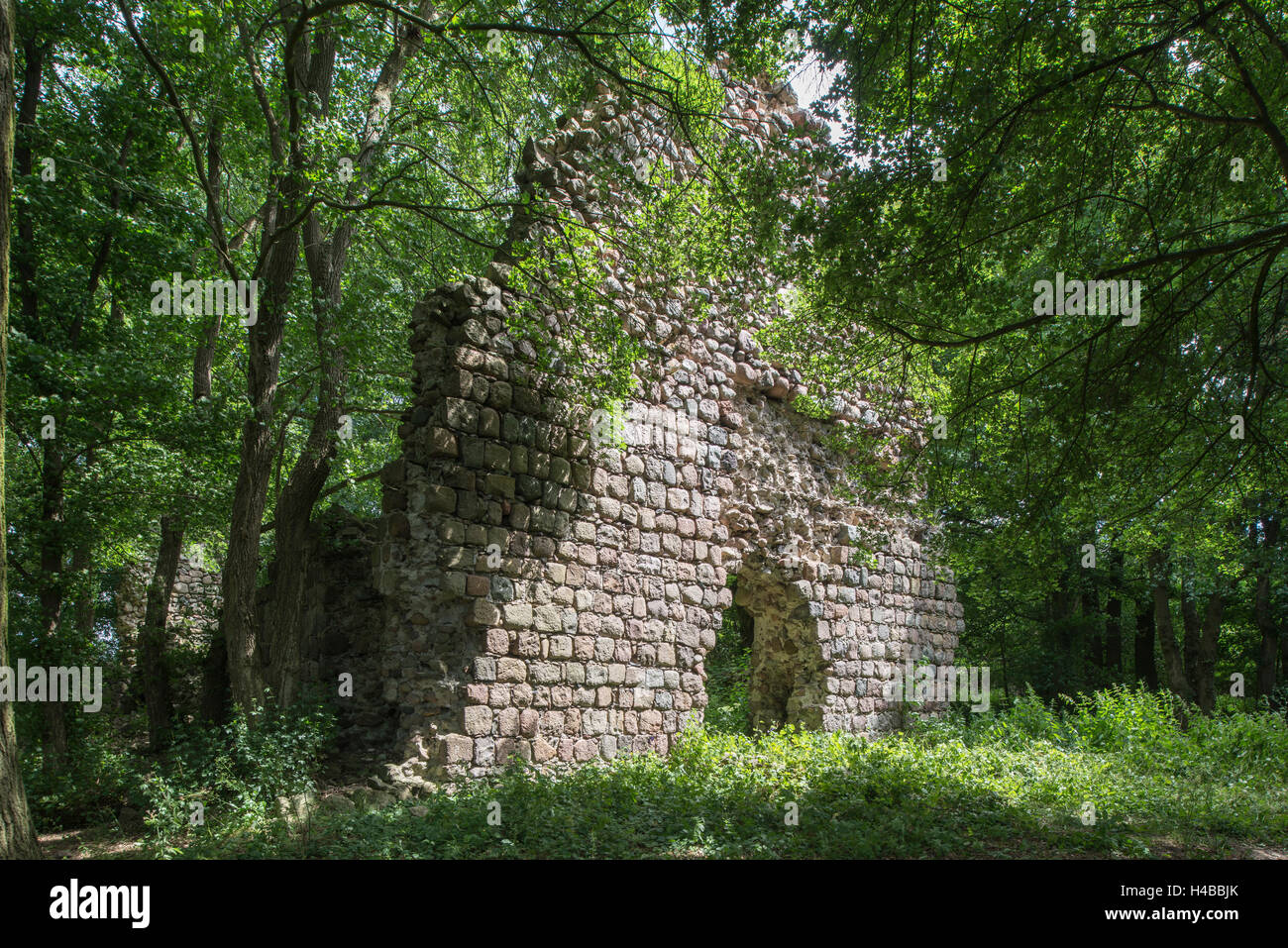 Le rovine della chiesa di pietra di Conow, Feldberger Seenlandschaft, Meclemburgo-Pomerania, Germania Foto Stock