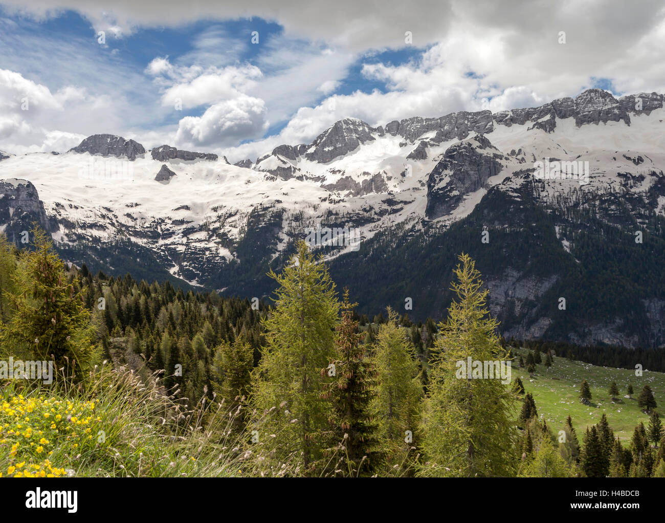 Il paesaggio nelle Alpi Giulie Foto Stock