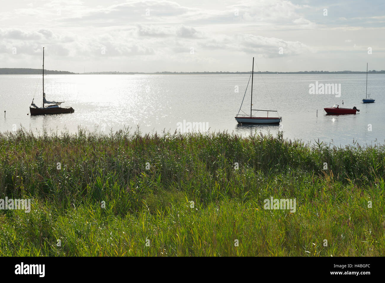 Barche a vela in estate, Vitte, isola baltica di Hiddensee, Baltico Pomerania Occidentale, Germania Foto Stock