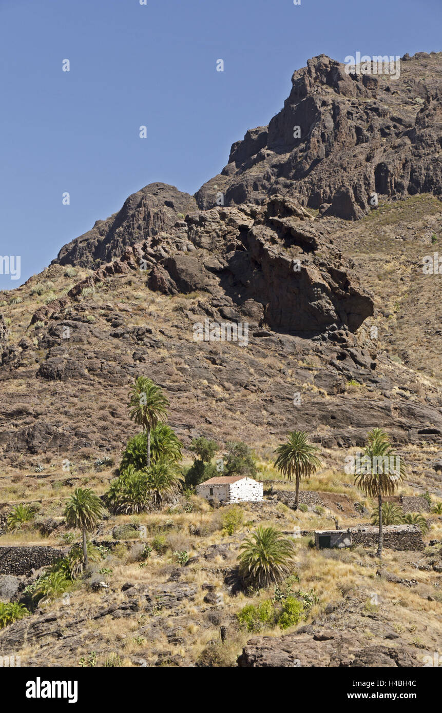 Spagna, isola Canarie, grana Canaria, Barranco de Aldea, regione montagnosa, Finca, palme, Foto Stock