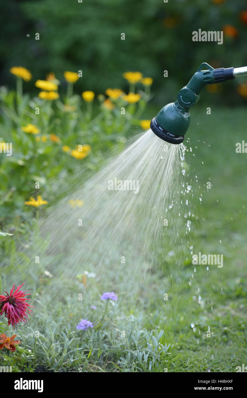 Immagini Stock - Spruzzatore D'acqua In Esecuzione Per Piante D'irrigazione  In Giardino.. Image 86522557