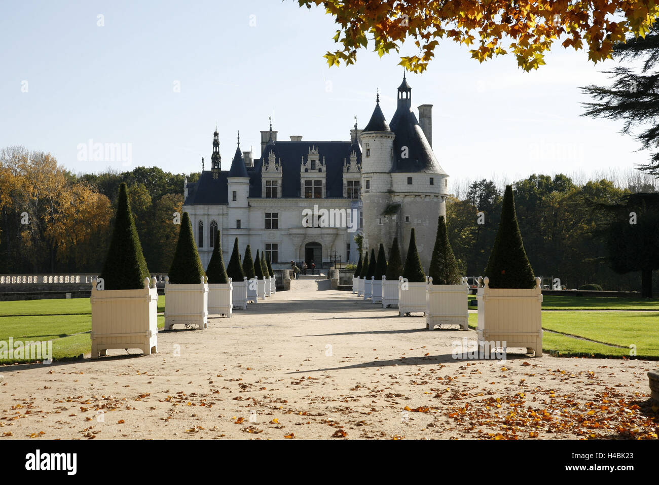 Francia, Francia centrale, Indre-et-Loire, Chenonceaux, Chateau de Chenonceau (castello di Chenonceau), Foto Stock