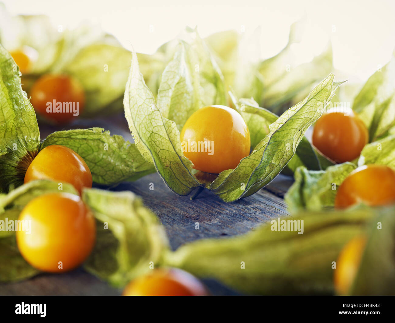 Ribes del capo, Physalis, legno, cartone, marrone, arancione Foto Stock
