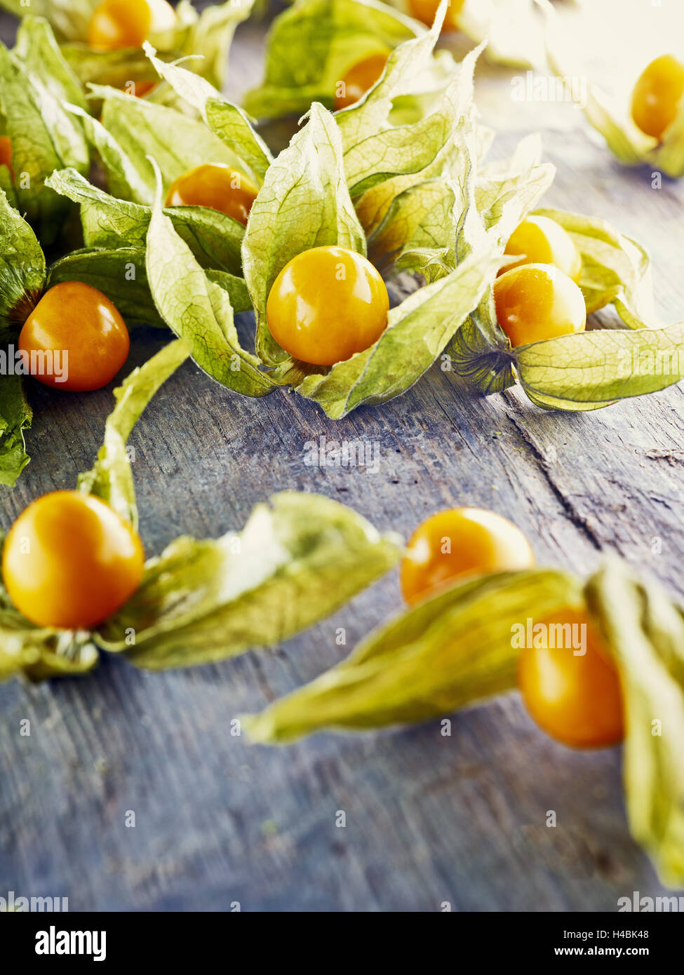 Ribes del capo, Physalis, legno, cartone, marrone, arancione Foto Stock