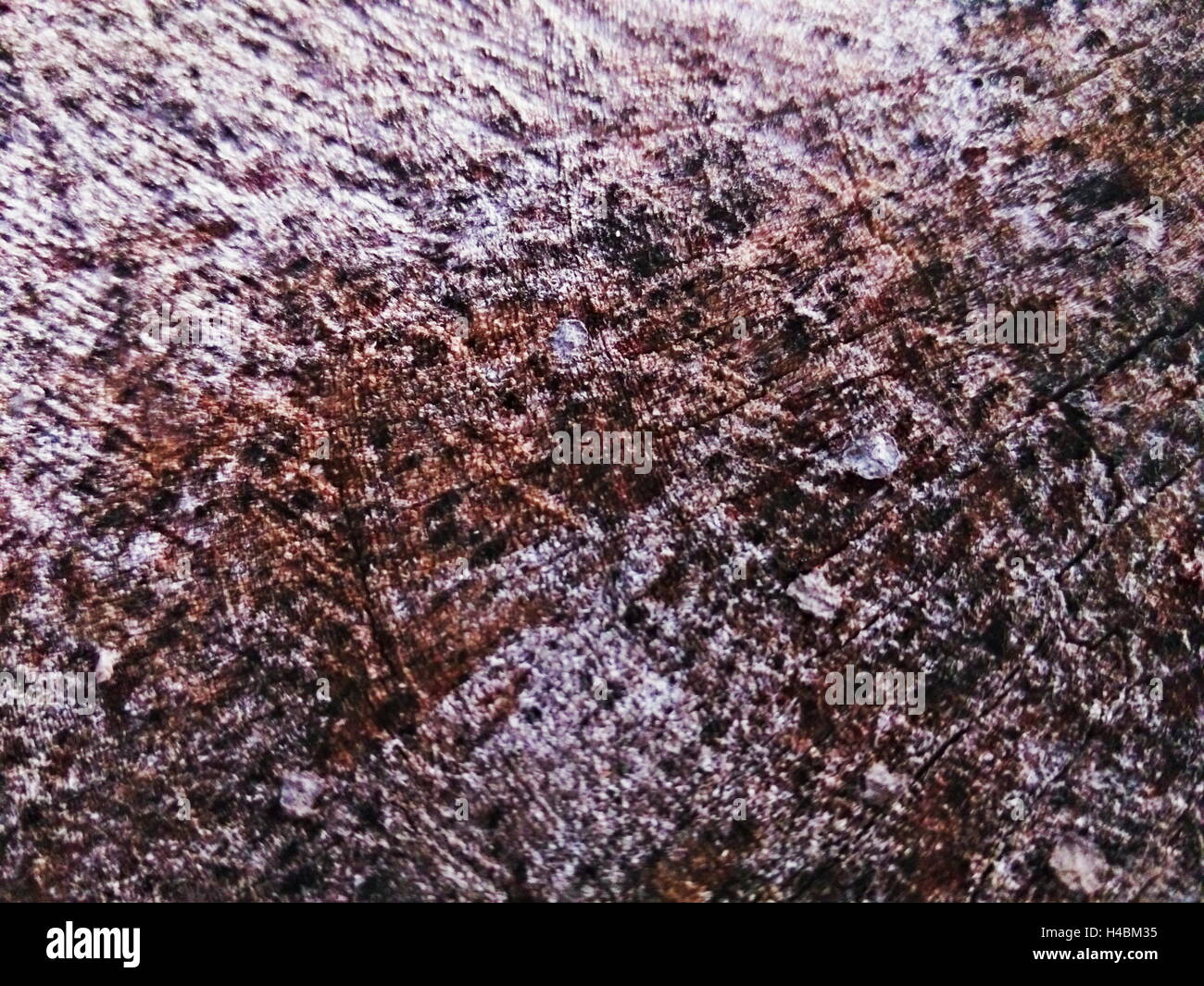 Closeup shot del nucleo interno di tagliare il legno vecchio texture, che mostra linee, crepe e macchie Foto Stock