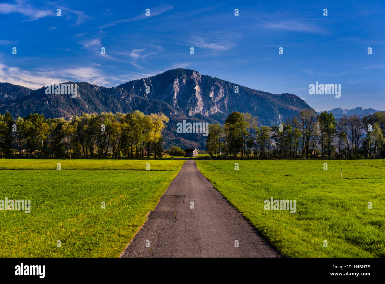 In Germania, in Baviera, Baviera, Pfaffenwinkel, Großweil, Loisach Kochelsee Moor contro Jochberg Foto Stock