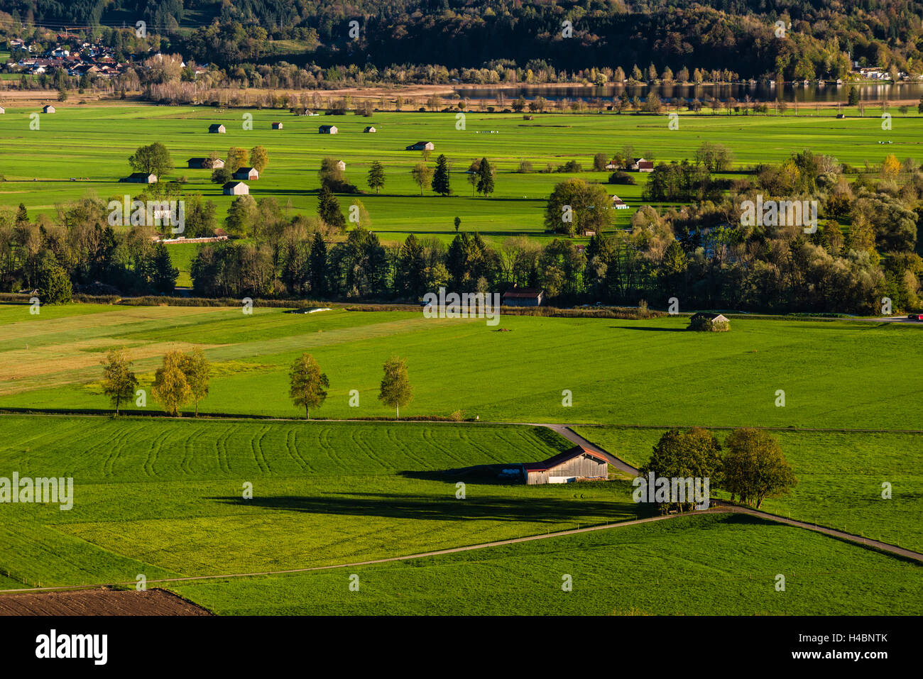 In Germania, in Baviera, Baviera, Pfaffenwinkel, Großweil, Loisach Kochelsee Moor, come si vede dal Weiler Stern Foto Stock