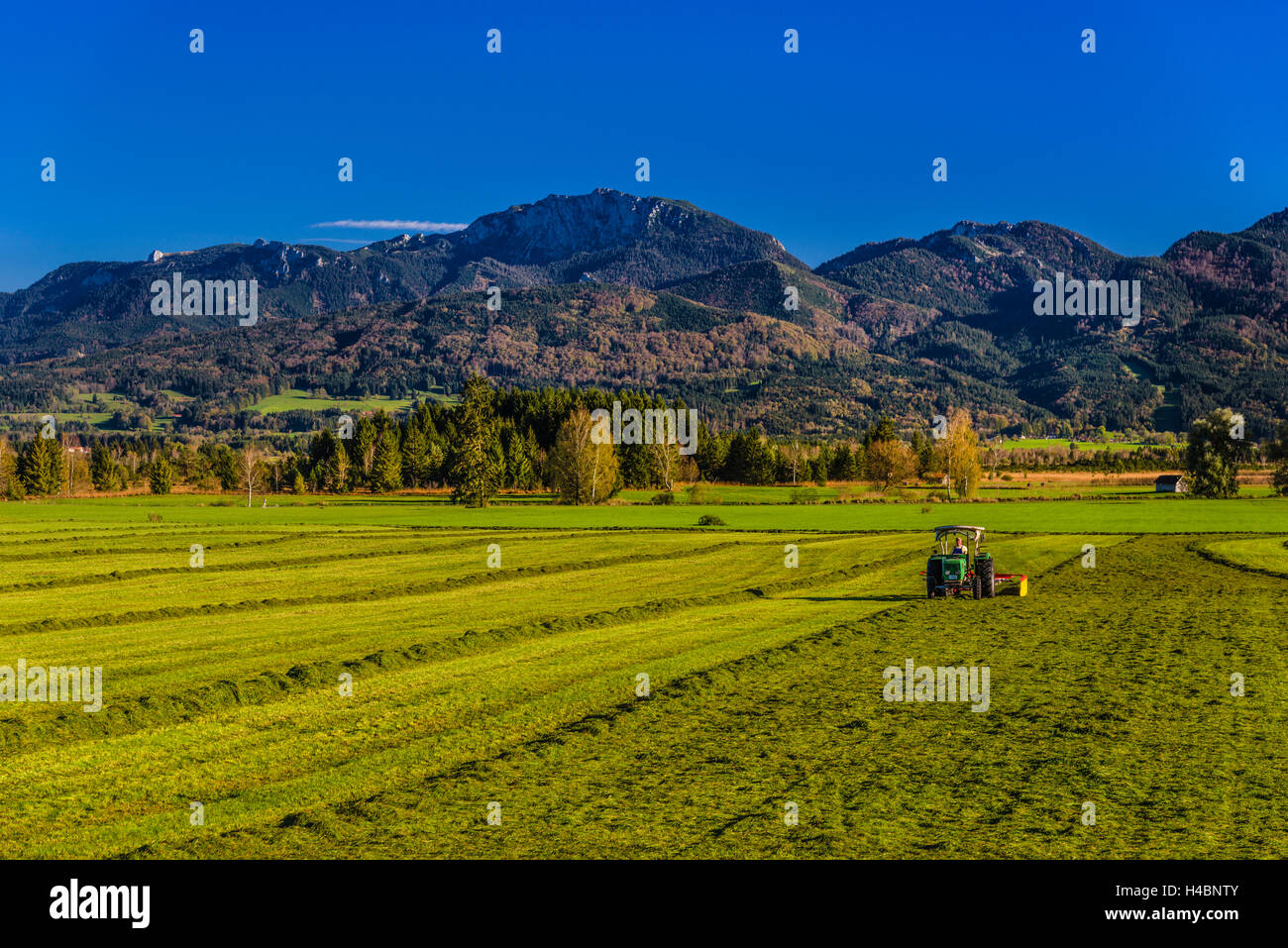 In Germania, in Baviera, Baviera, Pfaffenwinkel, Sindeldorf, Loisach Kochelsee Moor contro prealpi con Benediktenwand Foto Stock