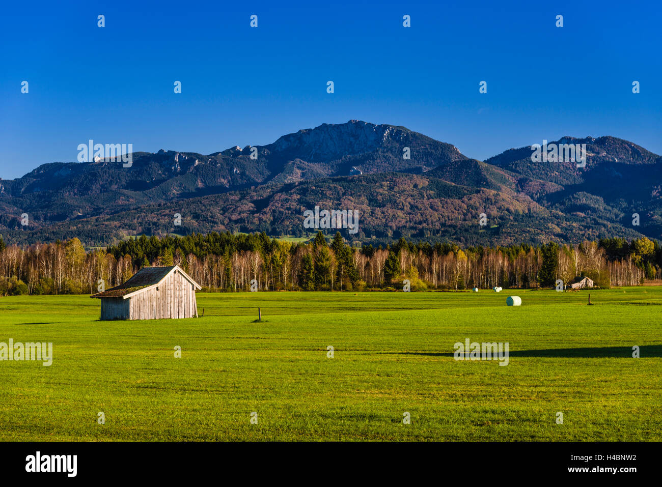 In Germania, in Baviera, Baviera, Pfaffenwinkel, Sindeldorf, Loisach Kochelsee Moor contro prealpi con Benediktenwand Foto Stock