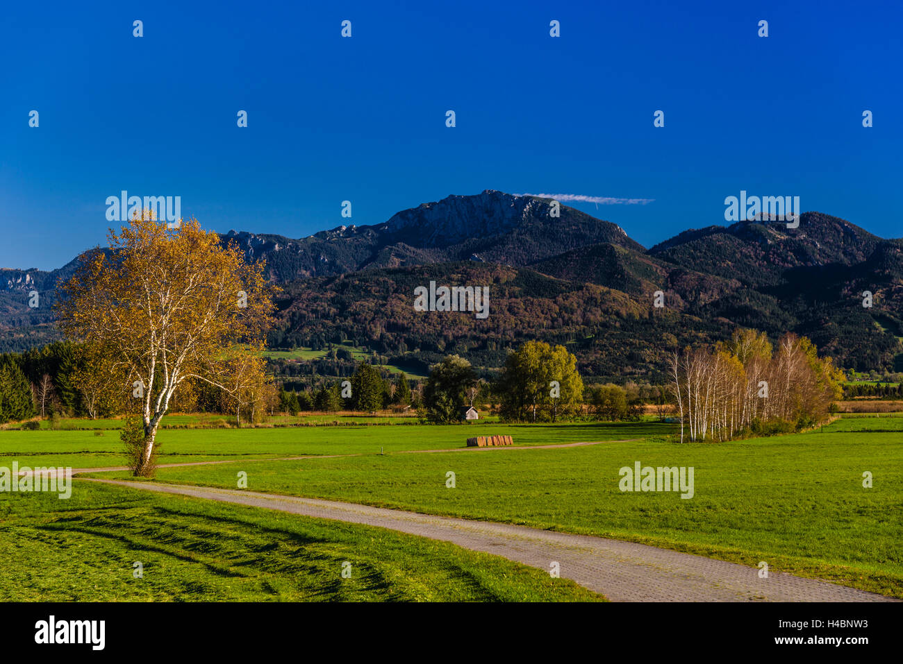 In Germania, in Baviera, Baviera, Pfaffenwinkel, Sindeldorf, Loisach Kochelsee Moor contro prealpi con Benediktenwand Foto Stock