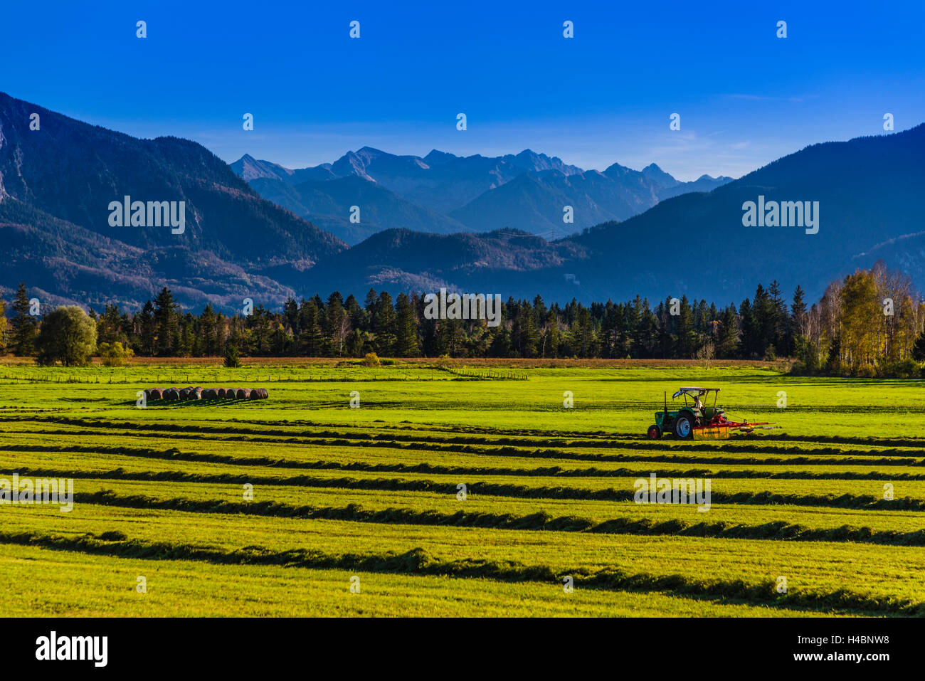 In Germania, in Baviera, Baviera, Pfaffenwinkel, Sindeldorf, Loisach Kochelsee Moor contro le Prealpi e le montagne Karwendel Foto Stock