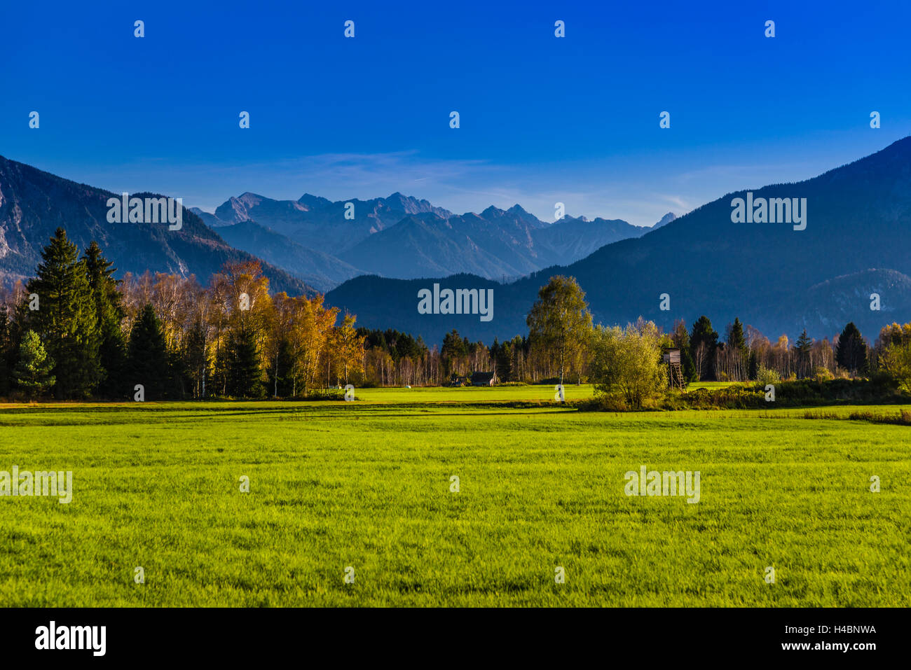 In Germania, in Baviera, Baviera, Pfaffenwinkel, Sindeldorf, Loisach Kochelsee Moor contro le Prealpi e le montagne Karwendel Foto Stock