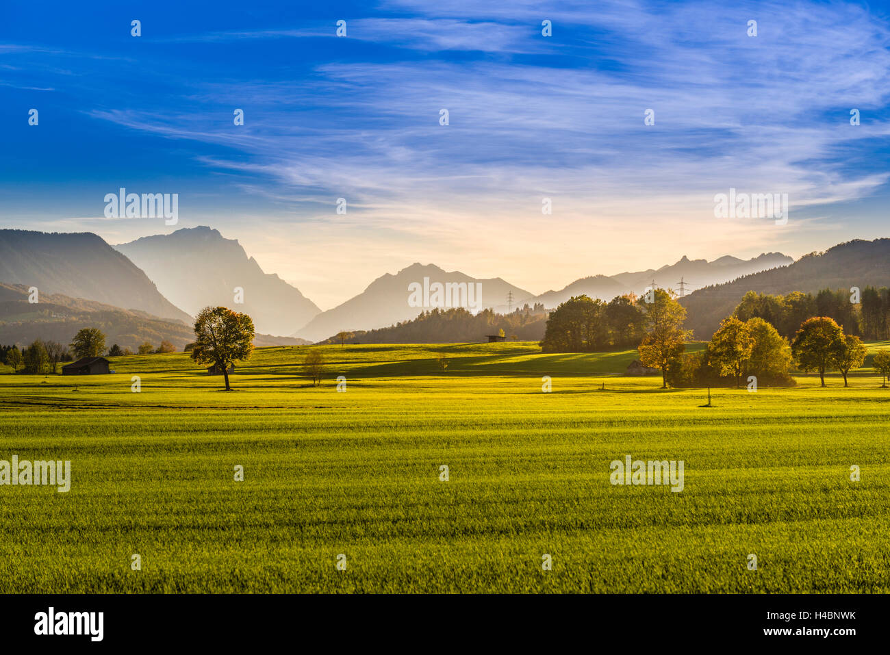 In Germania, in Baviera, Baviera, Pfaffenwinkel, Sindeldorf, Loisach Kochelsee Moor contro Zugspitze e Ammergebirge Foto Stock