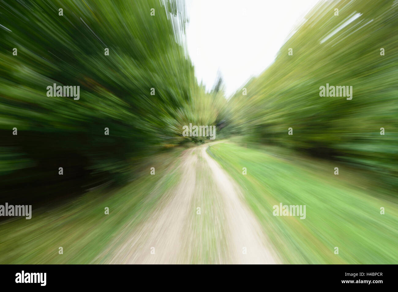 Paesaggio, sentiero forestale bosco misto, tempo di esposizione lungo, nuvoloso Foto Stock