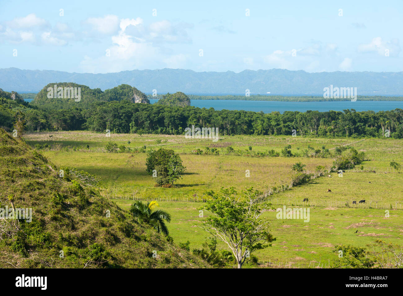 Repubblica Dominicana, est, Sabana de la Mar, vista l'hotel Paraiso Cano Hondo circa il parco nazionale di batch di Haitises e la Baia di Samana della penisola di Samana Foto Stock