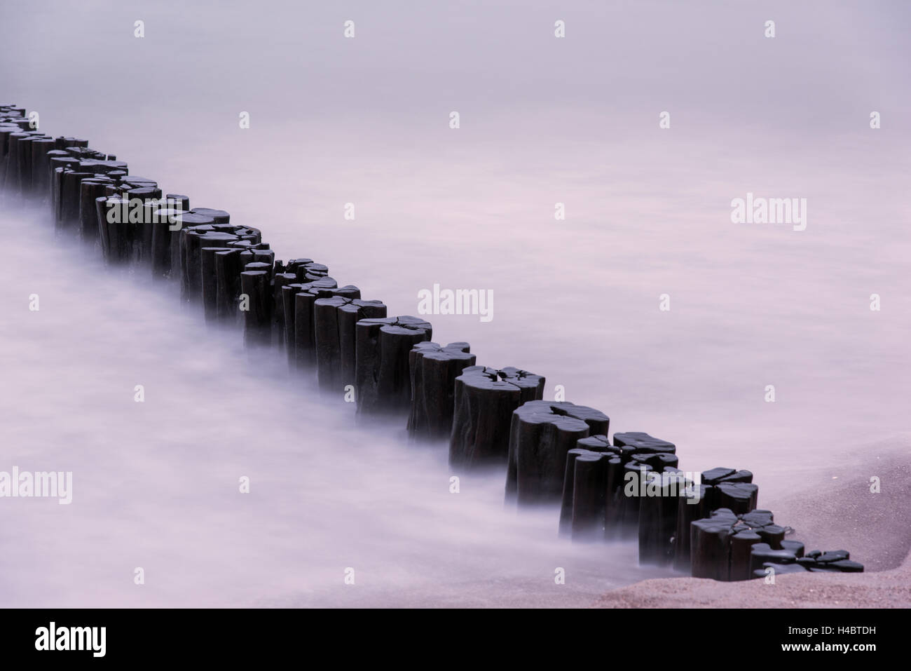 Struttura di frangionde, Tramonto, Spiaggia, tempo di esposizione lungo il Mar Baltico, Darss, Zingst, Germania Foto Stock