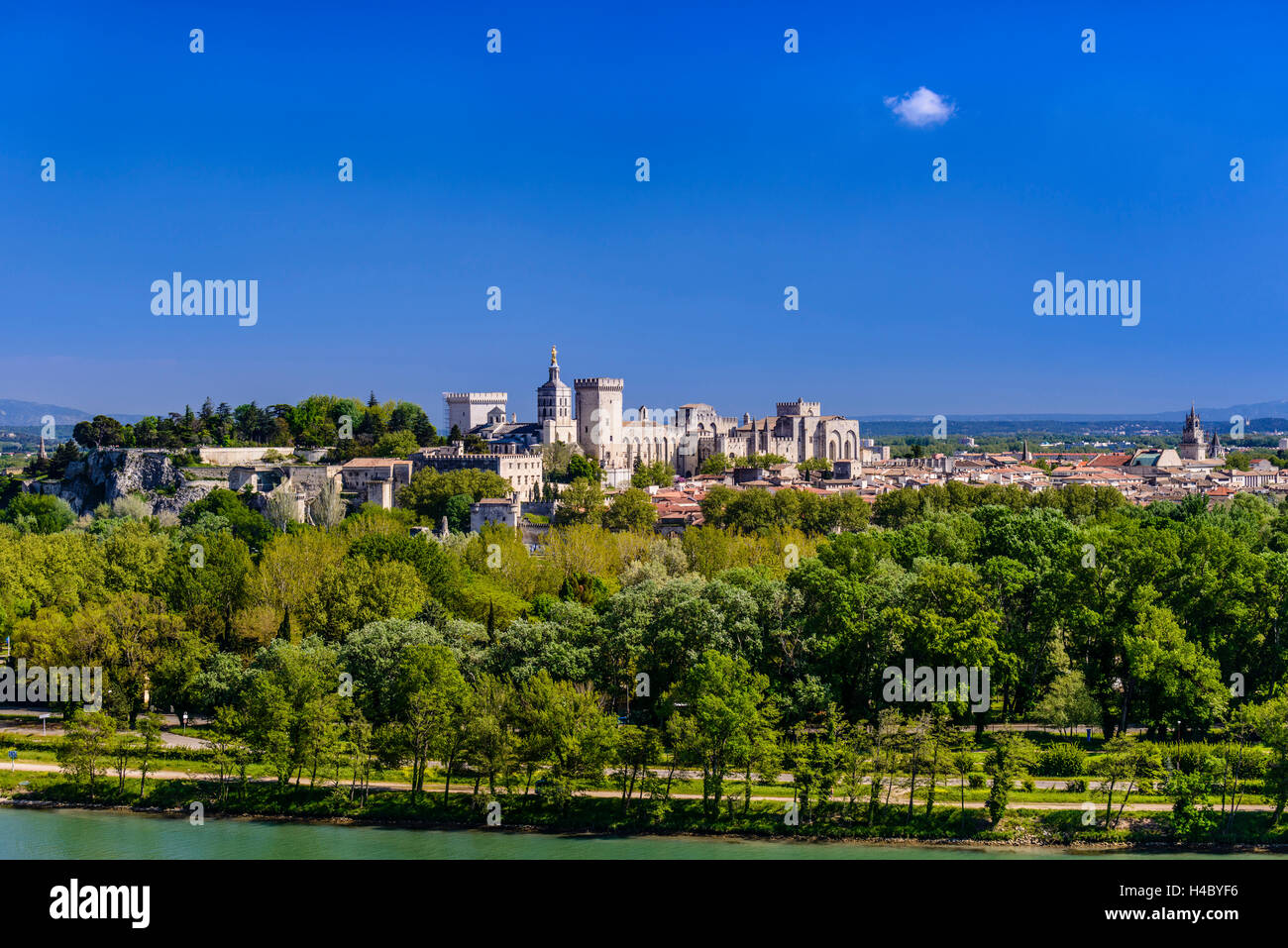 Francia, Provenza, Vaucluse, Avignone, Ile de la Barthelasse, Rhône shore, città vecchia, Rocher des Doms, Palazzo Papale, vista da Villeneuve lez Avignon Foto Stock