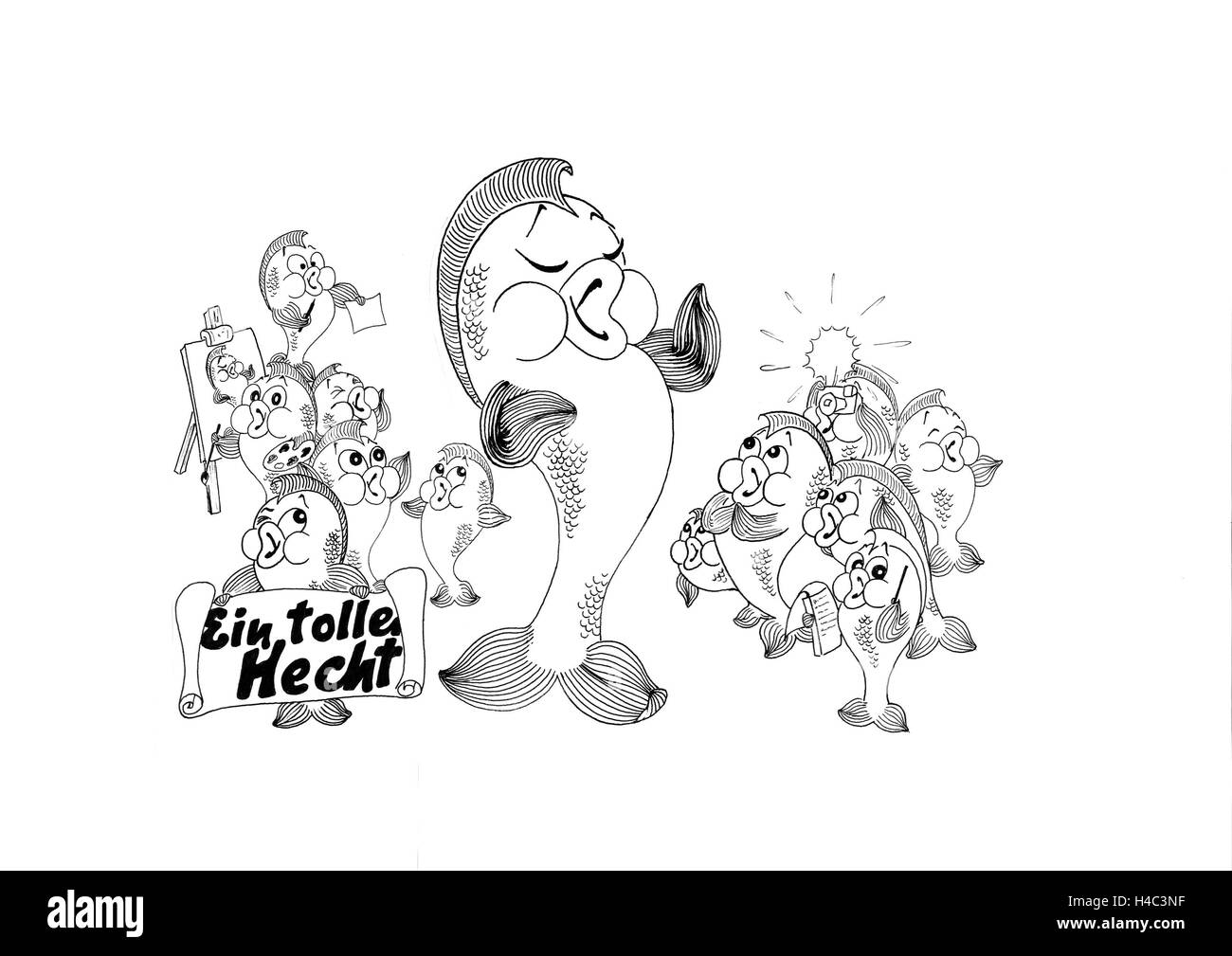 Concerto di lucci Foto Stock