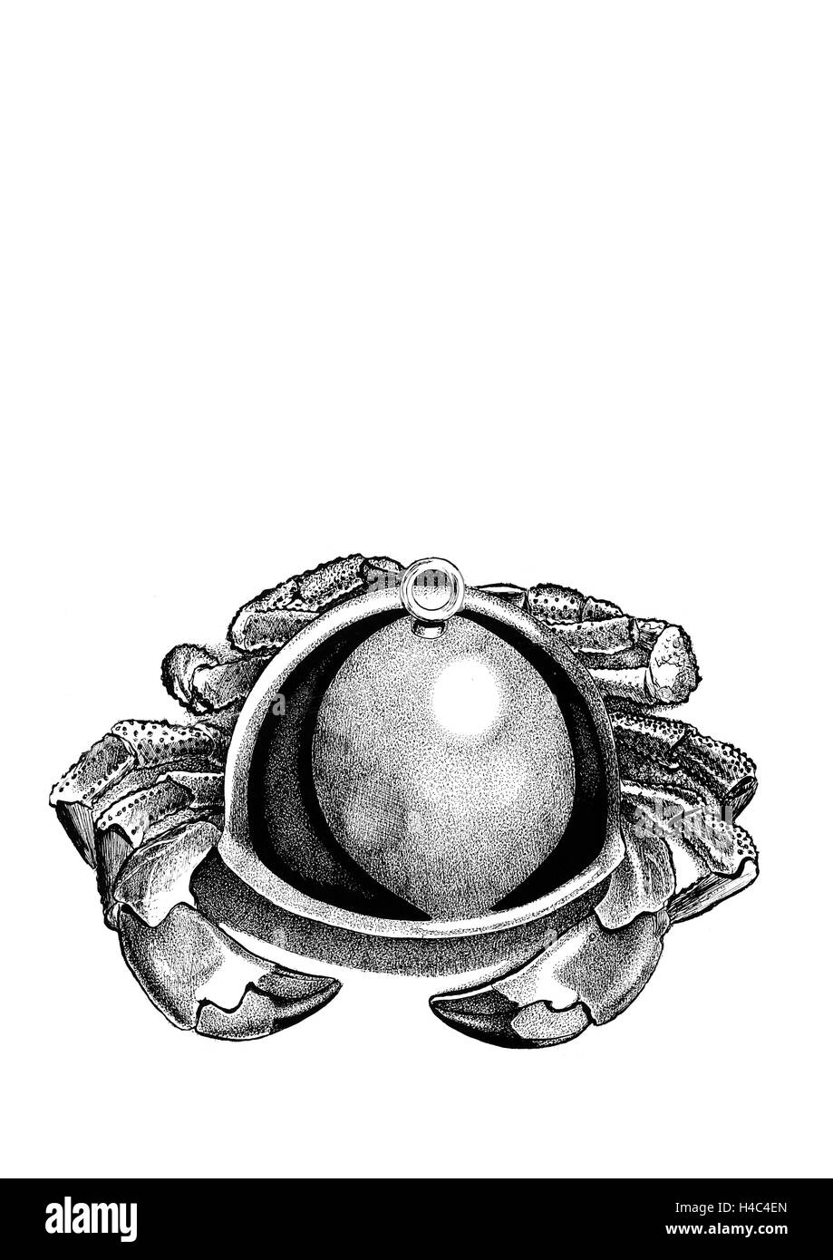 Segno zodiacale Cancro Foto Stock