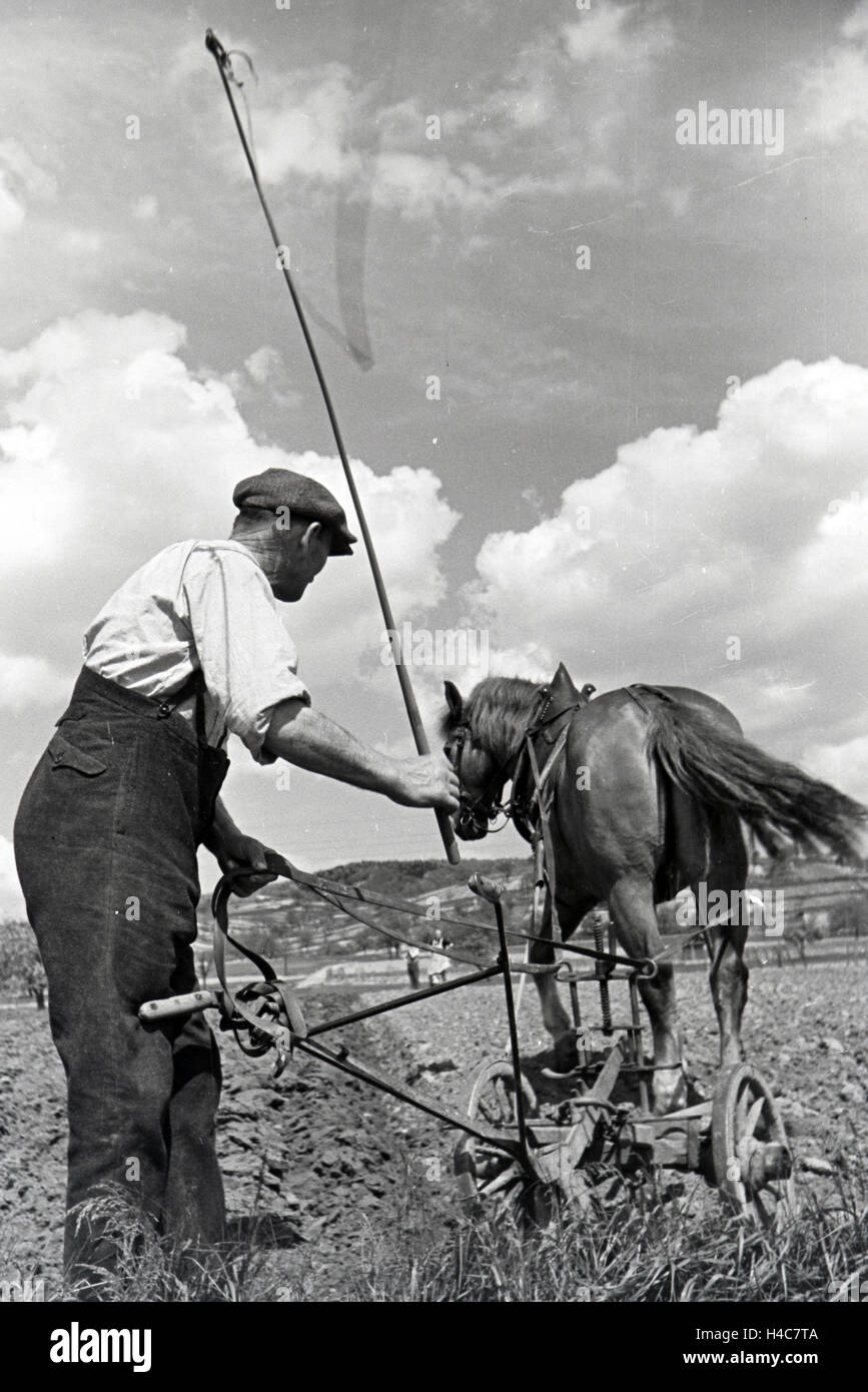 Ein rheinischer Bauer bei der Arbeit, Deutsches Reich 1930er Jahre. Un agricoltore renano lavorando, Germania 1930 Foto Stock