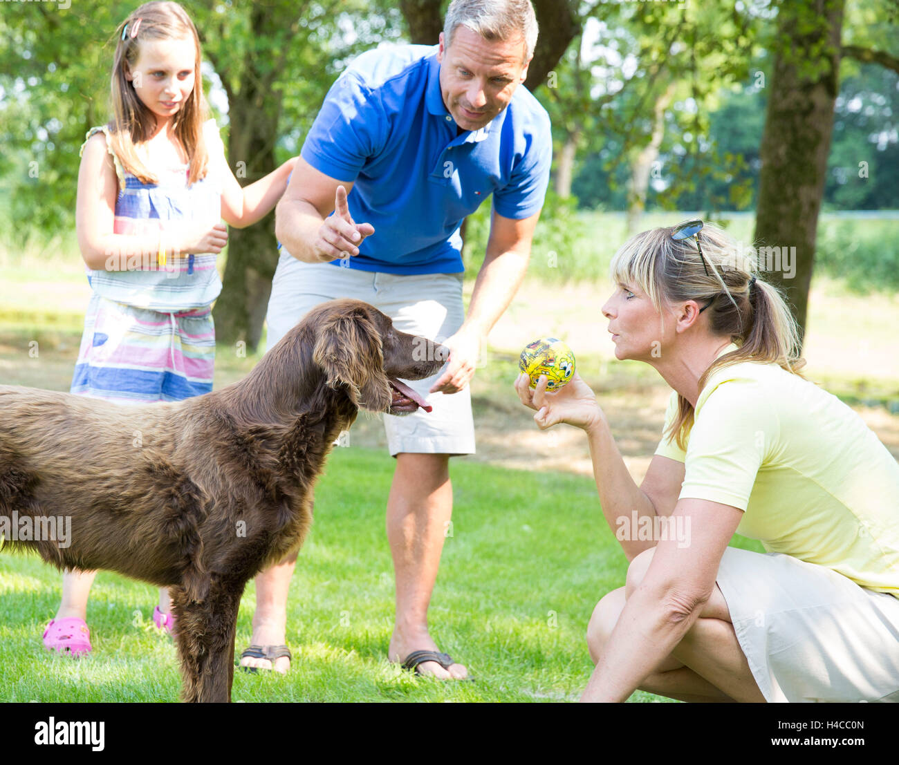 Famiglia gioca con un cane Foto Stock