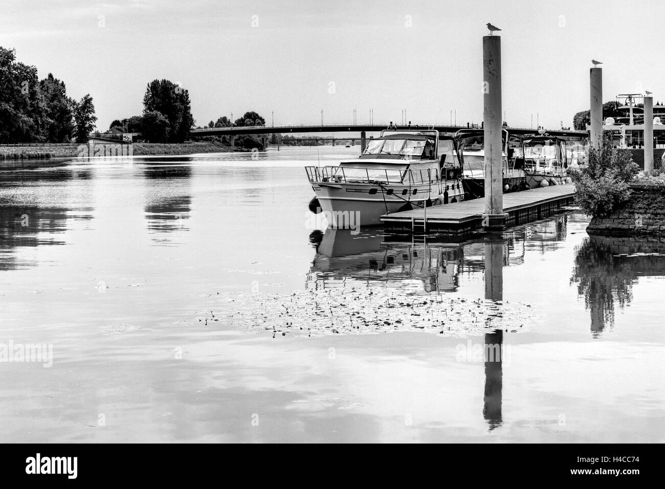 Pontile di avvio nella Saône, Mâcon, Départements Saône-et-Loire, regione Borgogna, in Francia, Foto Stock