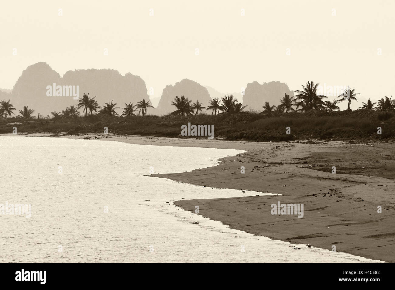 Palm Beach con il duplice vanga rocce la baia di Halong in background Foto Stock