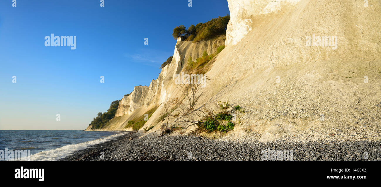 Danimarca, isola M°n, chalk rocce del M°ns Klint Foto Stock