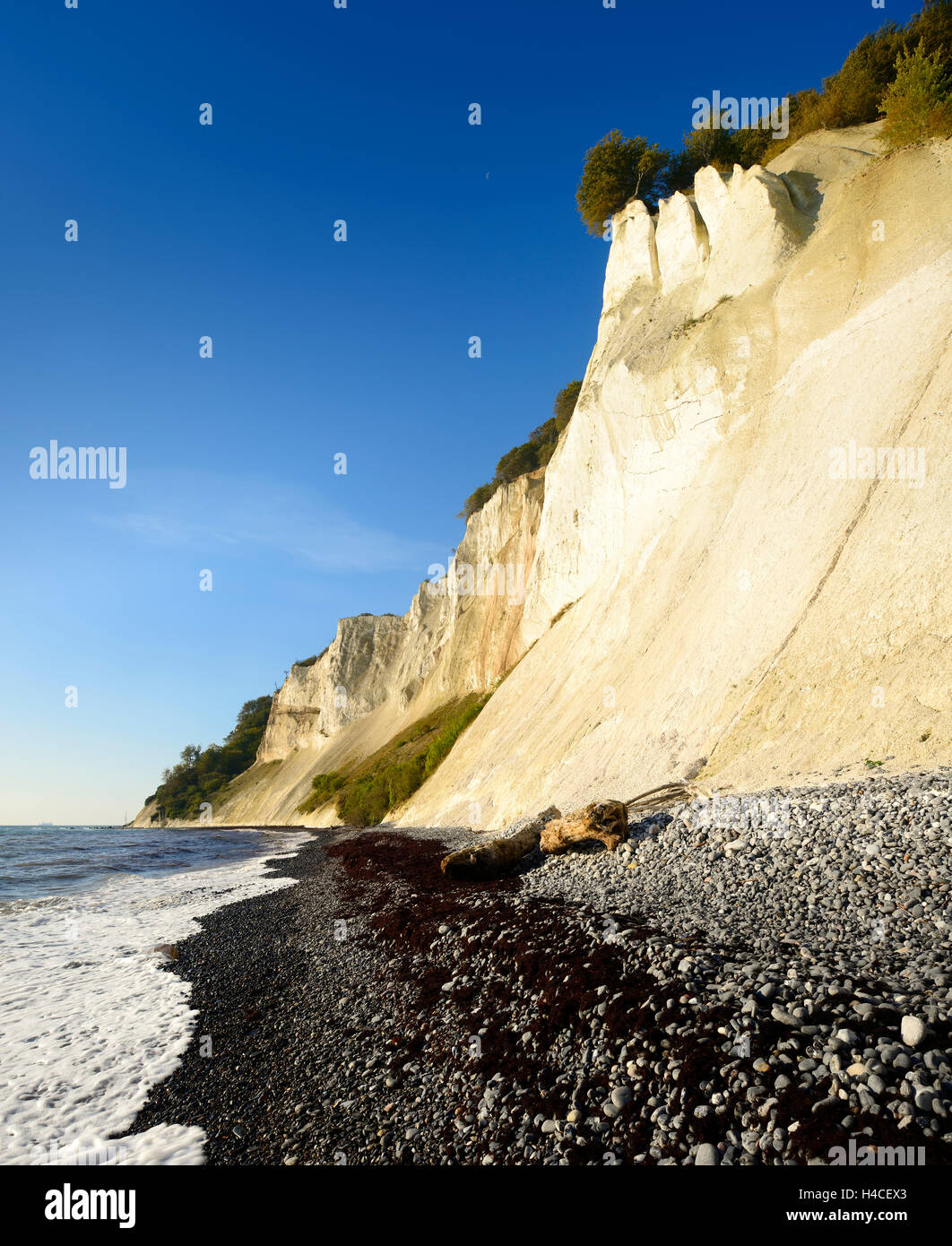 Danimarca, isola M°n, chalk rocce del M°ns Klint Foto Stock