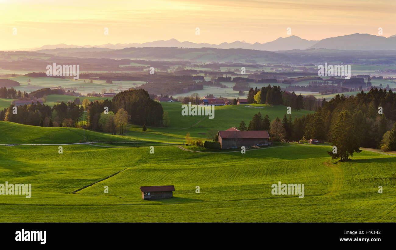 In Germania, in Baviera, Alpi paradisaic, molla, verdi prati, visualizzare Auerberg, luce, nebbia, mattina, sunrise, vastità, visualizzare gli alberi, idilliaco, capanne, alp, Algovia, silhouette, Zugspitze, scenario, panorama, Foto Stock