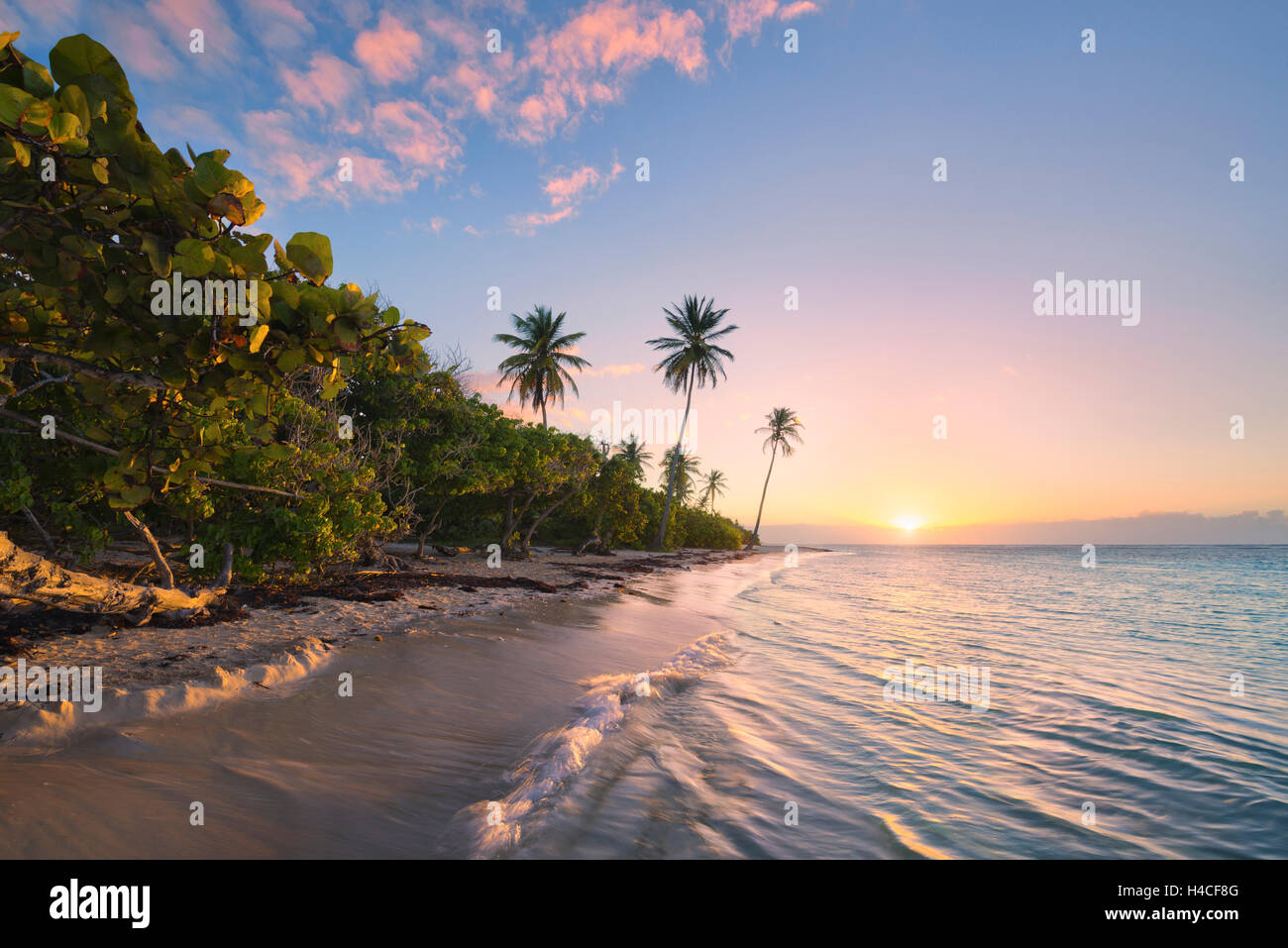 La Guadalupa, Caraibi, Francia, isola tropicale, paradise, palme, spiaggia, mare, sabbia, sunrise, luce posteriore, Foto Stock