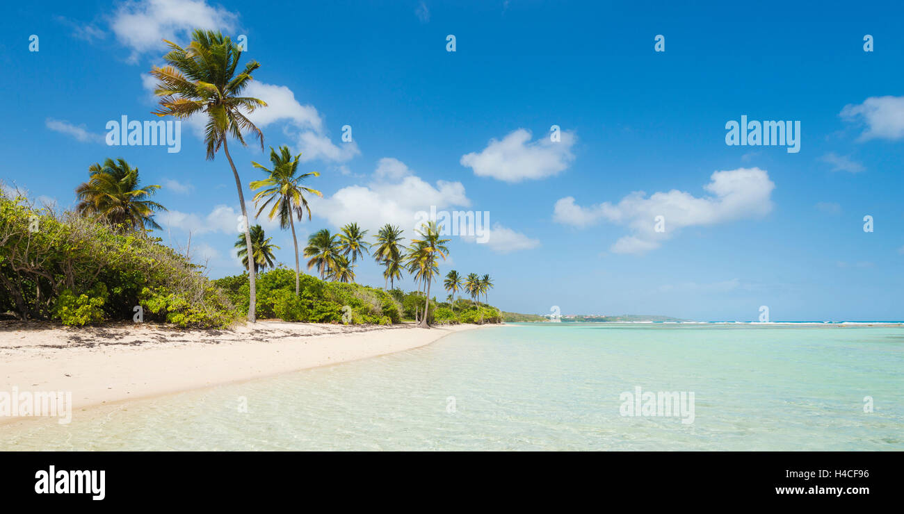 La Guadalupa, la Francia, i Caraibi, isola, Basse-Terre, tropicali, mare, spiaggia, sabbia, palme, Wild, panorama, nuvole, cieli blu, schiuma di mare, costa, verde, paradise, turchese, scenario, Bois, Jolan, Anse, solitario Foto Stock