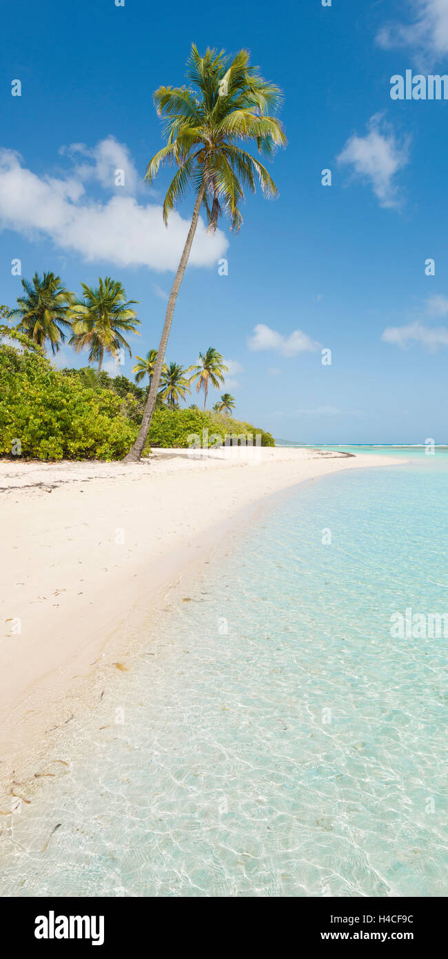 La Guadalupa, la Francia, i Caraibi, isola, Basse-Terre, tropicale Foto Stock