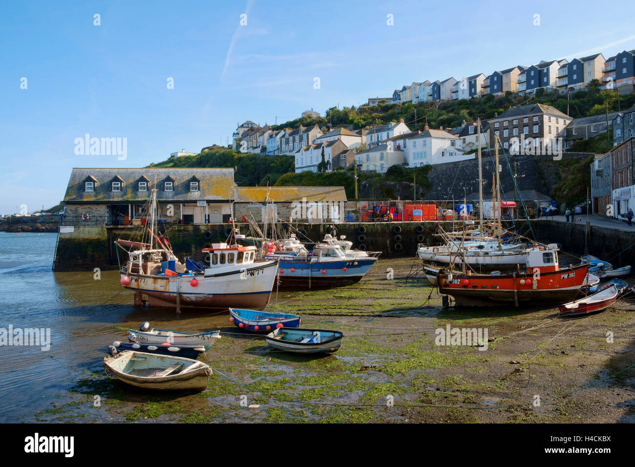 Mevagissey porto con barche da pesca a bassa marea, Cornwall, Regno Unito Foto Stock