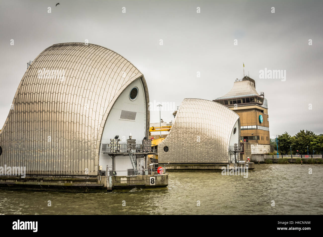 Thames Barrier, Woolwich, London, England, Regno Unito, Europa Foto Stock