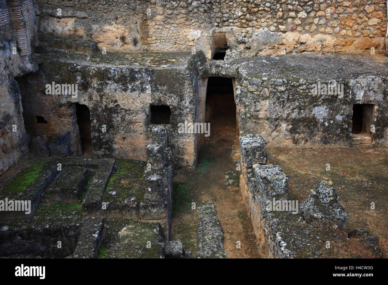 Spagna, Andalusia, città Carmona nella provincia di Siviglia, scavo archeologico sito, tomba l'elefante Foto Stock